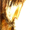 Luca_quadro5_thumb