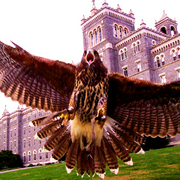 Castleblock_card