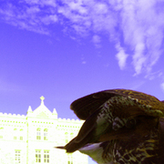 Hawksmithsm_card