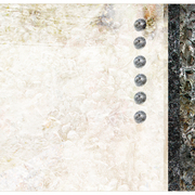 La_brea_fossils_card