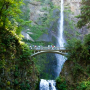 Falls_card