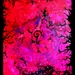 Strange_dreams_on_the_way_to_elsewhere_square