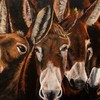 Smile_donkeys_es_thumb