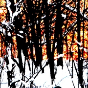Beaverbrooksunset2photoshop_card