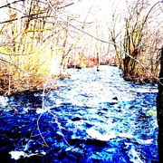 Beaverbrookphotoshop_card