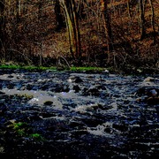 Beaverbrookphotoshop2_card