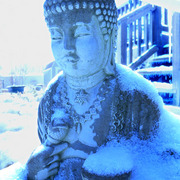 Dscn2632_card