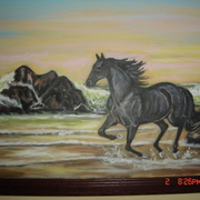 Dsc01537_card
