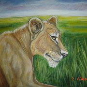 Dsc01542_card