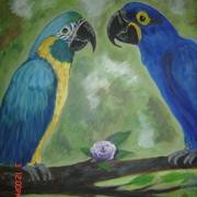 Dsc01567_card
