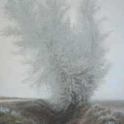 Portrait_of_frozen_willow_card