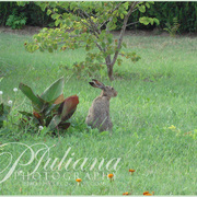 Dsc05982_card