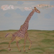 Img_1050_card