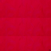 Untitled_card