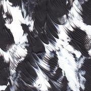 Blackandwhite_card