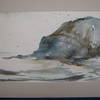 Dsc00797_thumb