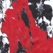 Redwhiteblack_card