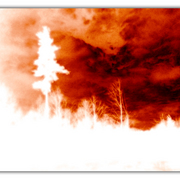 Untitled-1_card