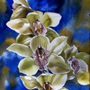 Chinese_new_year_painting