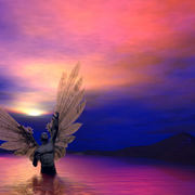 Min__nousen_a6_card