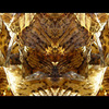 Jan_huss_2_thumb