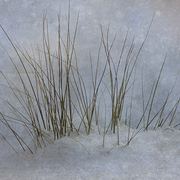 North_shore_card