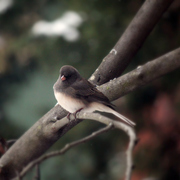 140a120510_card