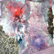 Backing_to_fourteen_card
