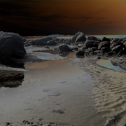 Thebeachrich_card