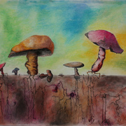 Mushroom1_card