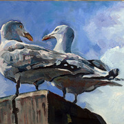P1314064_card