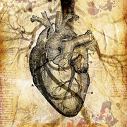 Zim__i_cut_your_heart_out