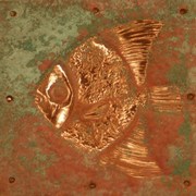 Dsc00012_card