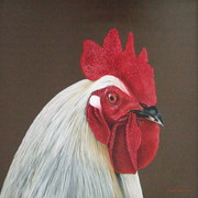 Dscf0711_card
