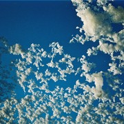 F1000008_card