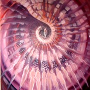 Imag_afis-transcendere_card
