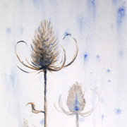 Thistle_card