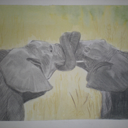 Tanzania_card