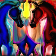 American_horse_card