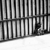 _1190818_thumb