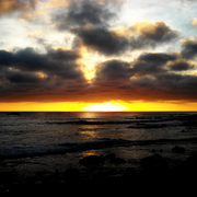 Sunsetfire_card