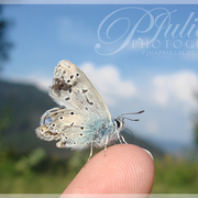 00141_card