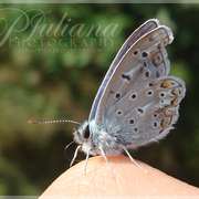 00143_card
