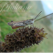 00144_card
