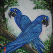 Dsc01543_card
