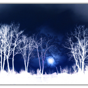 Untitled-1_card