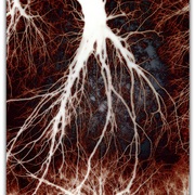 Untitled-1_card