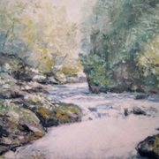 Wild_cold_beauty_card