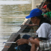 Img_2385_1__card