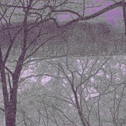 Purpleforest2revised_card